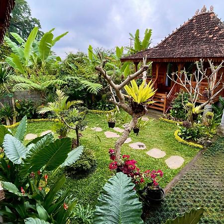 Jane'S House & Spa Bedugul Bali Pacung Exterior photo