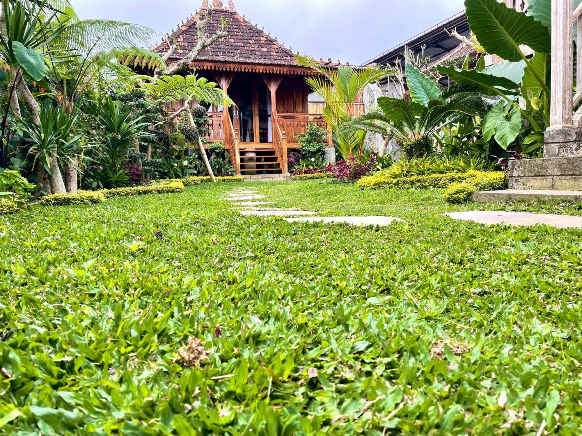 Jane'S House & Spa Bedugul Bali Pacung Exterior photo